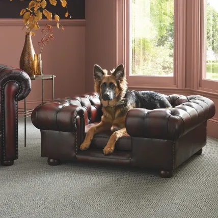 Lincoln Large Dog Bed - Dog Beds from Sofas by Saxon UK